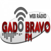 Web Rádio Gado Bravo FM