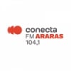 Rádio Conecta 104.1 FM