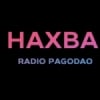 Rádio Pagodão Haxba