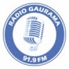 Rádio Gaurama 91.9 FM