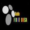 Rádio Forró Brega