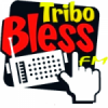 Rádio Tribo Bless FM