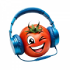 Web Rádio Capital do Tomate