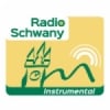Radio Schwany Instrumental