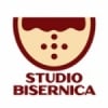 Radio Studio Bisernica