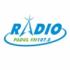 Radio Padul 107.8 FM