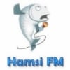 Radio Hamsi FM