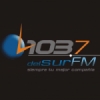 Radio Del Sur 103.7 FM