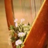 Radio Art Solo Harp