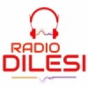 Radio Dilesi News