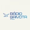 Rádio Gaivota 104.9 FM