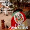 Rádio Web Sul RS