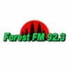 Forest 92.3 FM