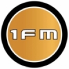 1FM Gull