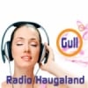Haugaland Gull