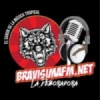 Radio Bravisima FM