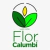 Rádio Flor de Calumbi FM