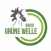 Grüne Welle 103 FM