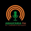 Rádio Araucária 95.1 FM