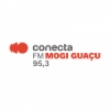 Rádio Conecta 95.3 FM