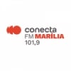 Rádio Conecta 101.9 FM