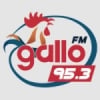 Radio Gallo 95.3 FM