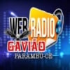 Web Rádio Gavião