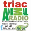 Radio Triac 106.9 FM