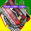 Rádio Forró Cedro