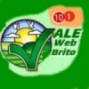 Rádio 101 Vale Web Brito