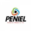 Rádio Web e Tv Peniel