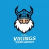 Web Rádio Vikings Anilados