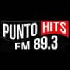 Radio Punto Hits 89.3 FM