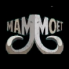 Mammoet FM