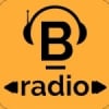 Benavides Radio 100.3 FM