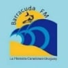 Barracuda FM