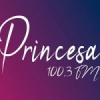 Rádio Princesa 100.3 FM