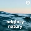 Radio Open FM - Odgtosy Natury