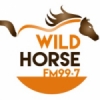 Radio Wild Horse 99.7 FM