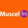 Muscel FM 94.1