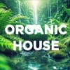 Radio DFM Organic House