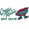 Radio WOYS 100.5 FM