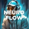 Radio DFM Neuro Flow