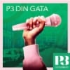 P3 Din Gata Sveriges Radio 100.6 FM