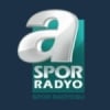 A Spor Radio 93.0 FM