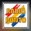 Punto 88.1 FM