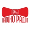 Papino Radio 107.6 FM