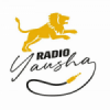 Rádio Yausha