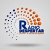 Rádio Despertar 91.0 FM