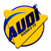 Rádio TV Audi